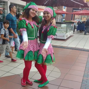 Disfraz Elfo
