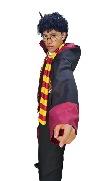 Harry Potter Gryffindor 1