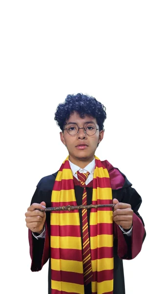 Harry Potter Gryffindor 2