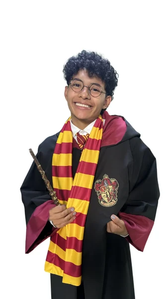 Harry Potter Gryffindor 3