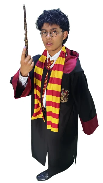 Harry Potter Gryffindor 4