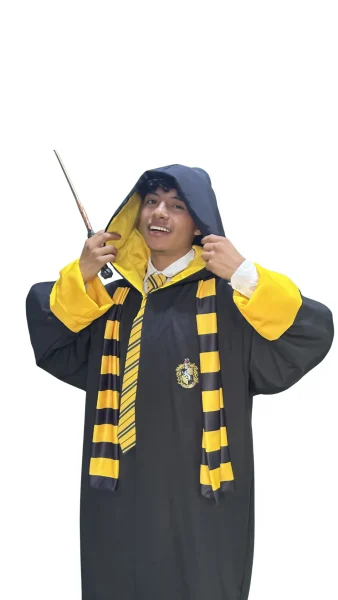 Harry Potter Hufflepuff 2