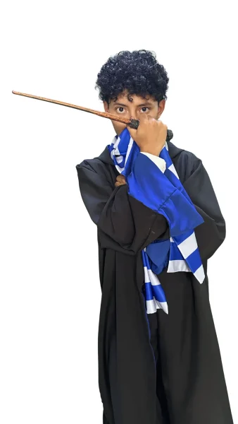 Harry Potter Ravenclaw 1