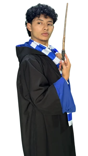 Harry Potter Ravenclaw 2