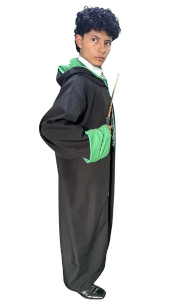 Harry Potter Slitherin 1