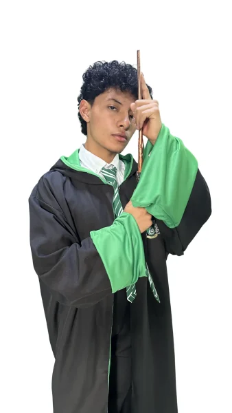 Harry Potter Slitherin 2
