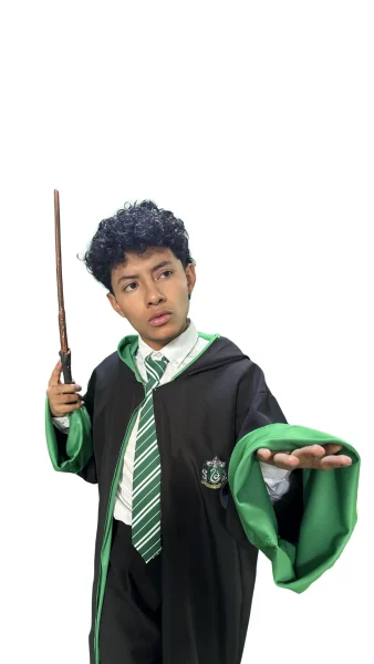 Harry Potter Slitherin 3