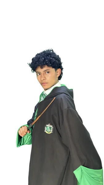 Harry Potter Slitherin 4